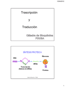 biosintesis de proteinas