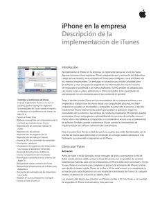 iPhone en la empresa Descripción de la implementación de iTunes