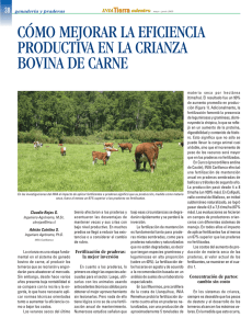 cómo mejorar la eficiencia productiva en la crianza bovina de