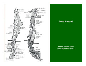 Zona Austral - Praderas y Pasturas
