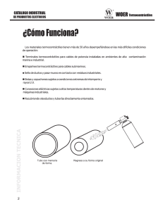 ¿Cómo funciona?