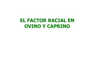 EL FACTOR RACIAL EN OVINO Y CAPRINO