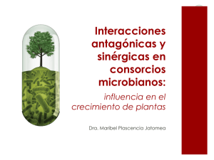 Interacciones antagónicas y sinérgicas en consorcios microbianos