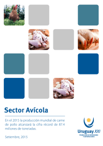 sector-avicola-setiembre-2015