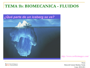 TEMA 1b: BIOMECANICA - FLUIDOS - OCW-UV