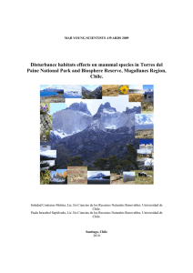 Estudio Torres del Paine