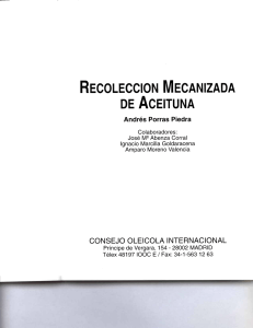 RECOLECCION MECANIZADA DE ACEITUNA