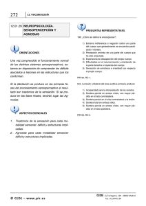&copy; CEDE &ndash; www.pir.es