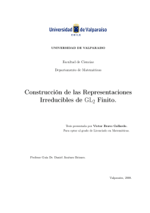 Construcción de las Representaciones Irreducibles de GL 2 Finito.