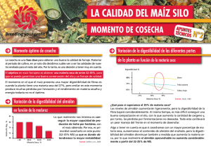 EL MOMENTO ÓPTIMO DE COSECHA. Descarga Apuntes Técnicos