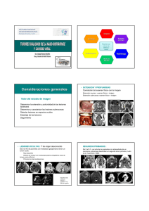 estudio del cancer de la faringe y cavidad oral . cuenca