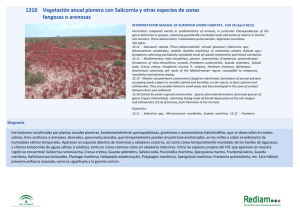 HIC 1310 : Vegetación anual pionera con Salicornia y otras