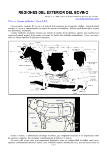 regiones del exterior del bovino