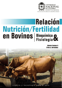 Relación nutrición fertilidad en Bovinos