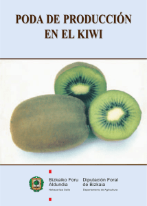 poda de producción en el kiwi poda de producción en el kiwi