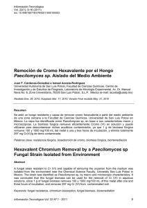 Remoci&oacute;n de Cromo Hexavalente por el Hongo Paecilomyces sp
