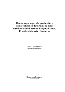 Plan de negocio para la producción y comercialización de tortillas