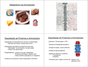 Metabolismo de Aminoácidos Degradação de Proteínas e
