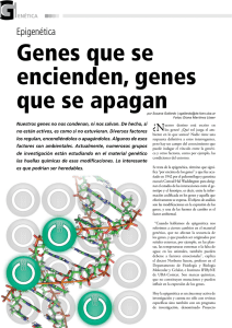 Epigenética Genes que se encienden, genes que se apagan