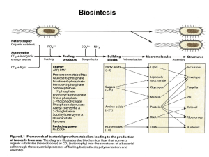 Biosíntesis