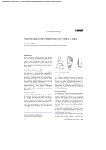 Anatomía funcional y biomecánica del tobillo y el pie