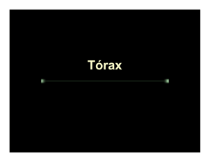 torax clase 18 10 2013
