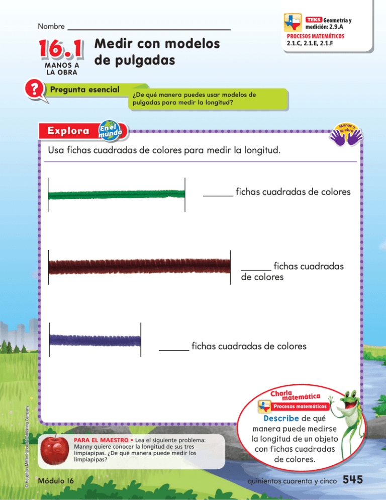 Medir Con Modelos De Pulgadas