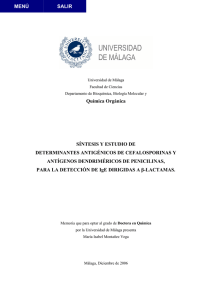 Qu&iacute;mica Org&aacute;nica S&Iacute;NTESIS Y ESTUDIO DE DETERMINANTES