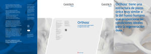 Orthoss® tiene una estructura de poros única muy similar a la del