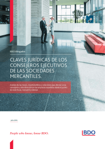 claves jur&iacute;dicas de los consejeros ejecutivos de las sociedades