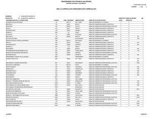 malla curricular