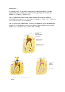 endodoncia - Clinica Dental Leganes