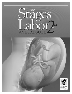 The Stages of Labor 2nd Edition Facilitator`s Guide With Handouts