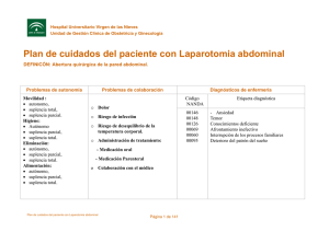 Plan de cuidados del paciente con Laparotomia abdominal