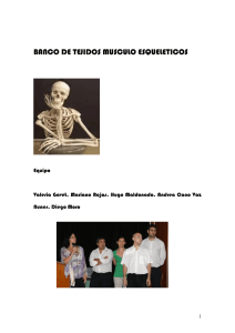 Banco de Huesos - Auditoria Medica Hoy, curso de Auditoria medica