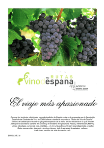 Conocer los territorios vitivinícolas con más tradición de España