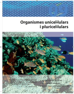 9.1 Organismes unicel·lulars i pluricel·lulars