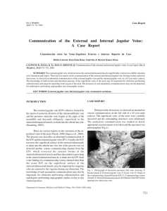 Communication of the External and Internal Jugular Veins
