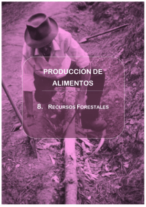 28_plagas_forestales_17102012