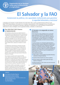 El Salvador y la FAO Fortaleciendo las políticas y las capacidades
