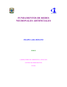 FUNDAMENTOS DE REDES NEURONALES ARTIFICIALES