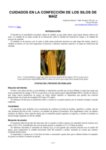 Cuidados en la confección de los silos de maíz