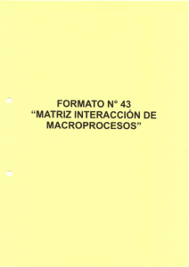 formato n 43 matriz interaccion de macroprocesos 2