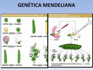 genética mendeliana