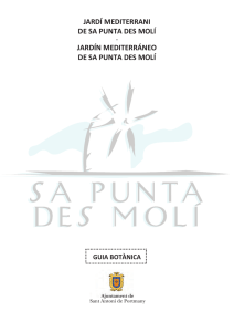 Guia Botànica Sa Punta des Molí - Ajuntament de Sant Antoni de
