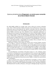Quercus pinnativenulosa (Fagaceae) - E-journal