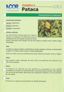 Características botánicas.