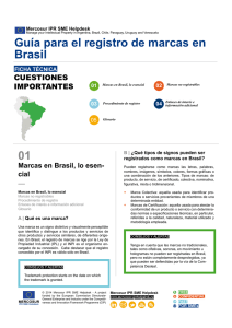 01 M Guía para el registro de marcas en Brasil