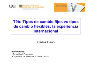 T9b: Tipos de cambio fijos vs tipos de cambio flexibles: la
