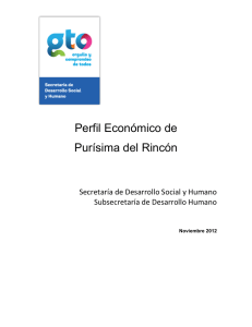 Perfil Económico de Purísima del Rincón